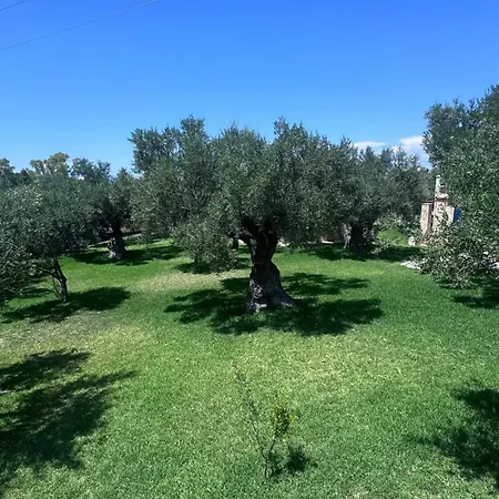 Villa Oleabungalows Akrotiri (Zakynthos)